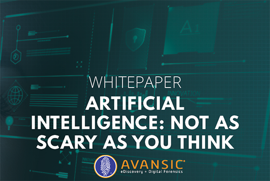 Whitepaper- AI Not as Scary as You Think