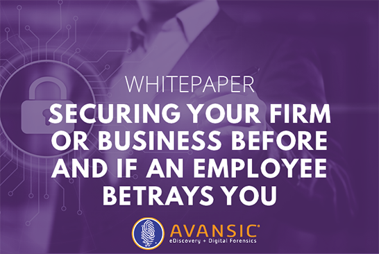 Whitepaper- Securing Your Business if an Employee Betrays You